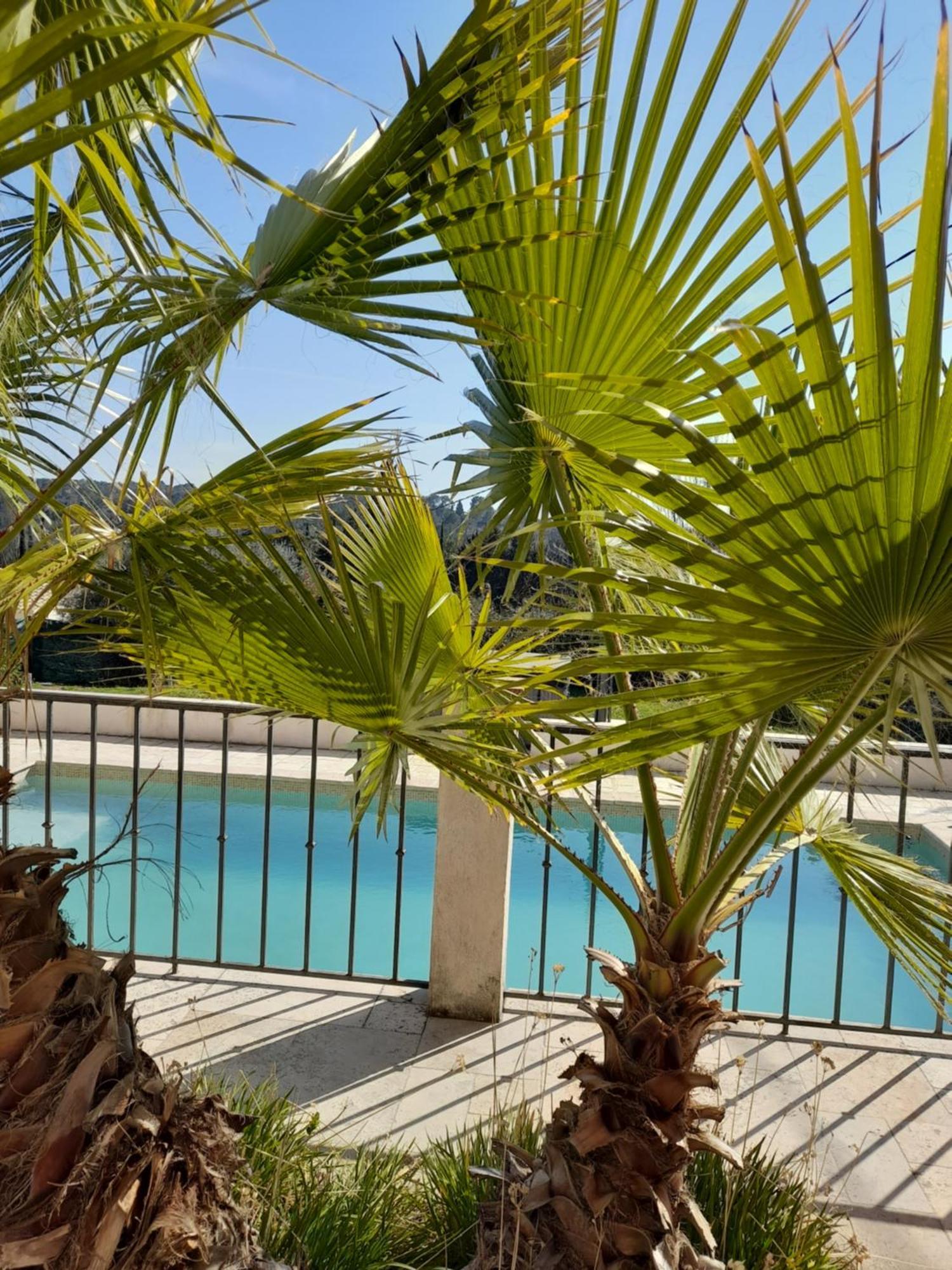 Villa Azur Lorgues Exterior foto