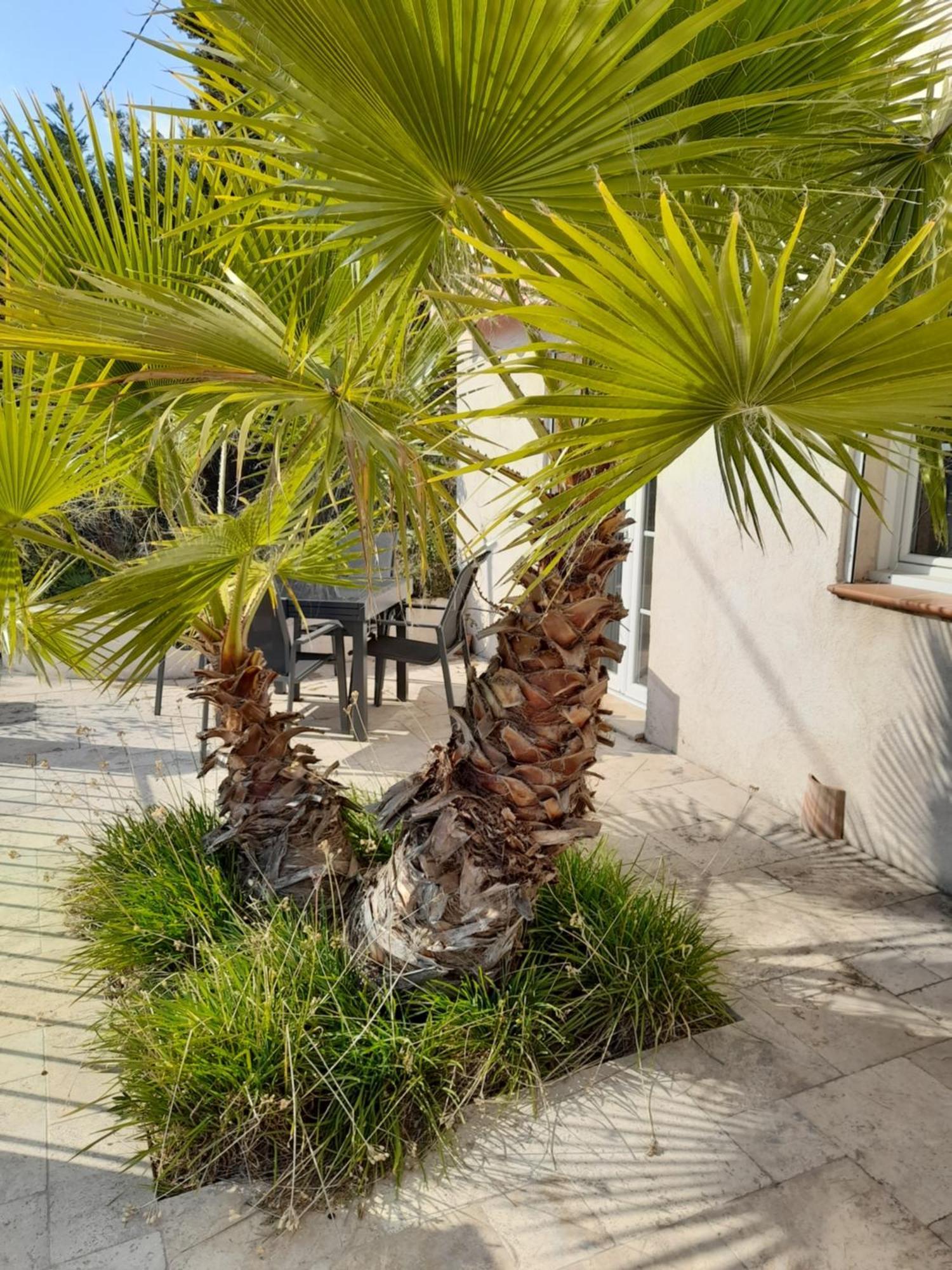 Villa Azur Lorgues Exterior foto